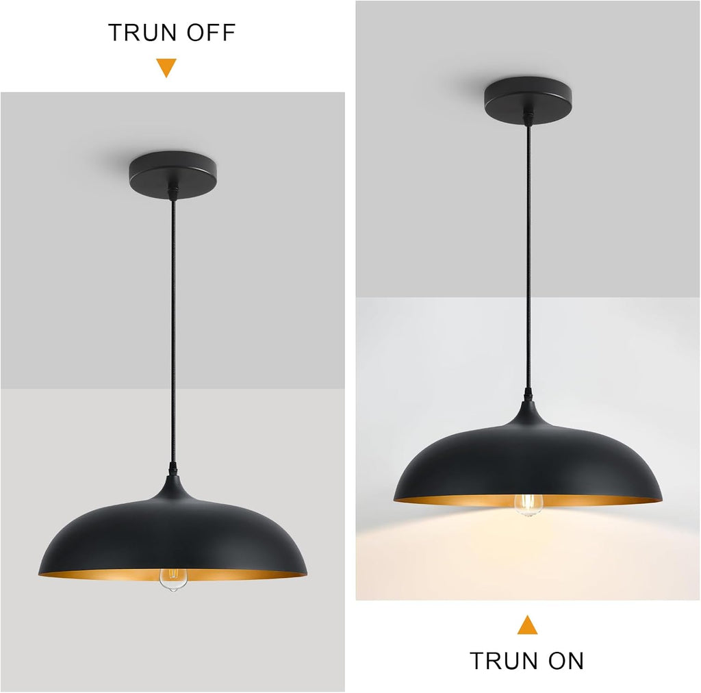 Black Gold Iron Pendant Light Fixture