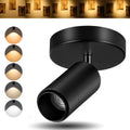 Indoor Directional LED Ceiling Spotlight