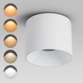 Modern Surface Mount LED Ceiling Spotlight