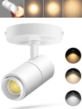 Zoomable Indoor LED Ceiling Spot Lights