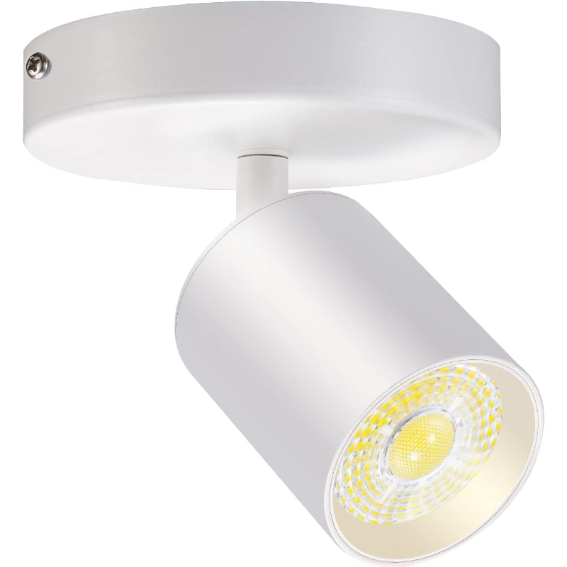 Dimmable Flush Mount LED Ceiling Spotlight